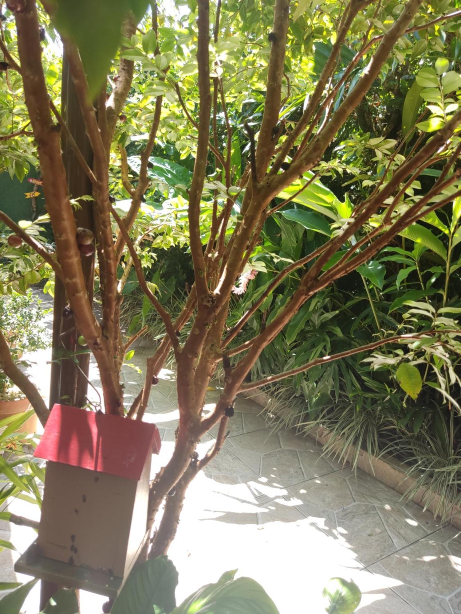 Recanto Toca Das Plantas De Ilhabela I Room photo